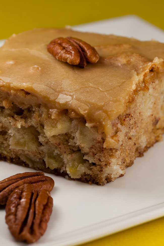 Apple Cake Recipe - This is my favorite cake, I have tried many apple cakes over the years and this is a winner!! So moist and dense, with a caramel taste, cannot say enough, just try it and see.