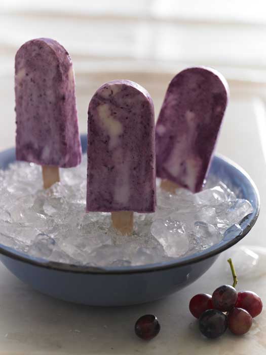 These Grape and Honey Yogurt Pops are easy to make and are a healthy treat you can feel good about giving the kiddos!