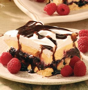 chocolate_raspberry_ice_cream_cake