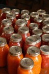 canning_tomatoes