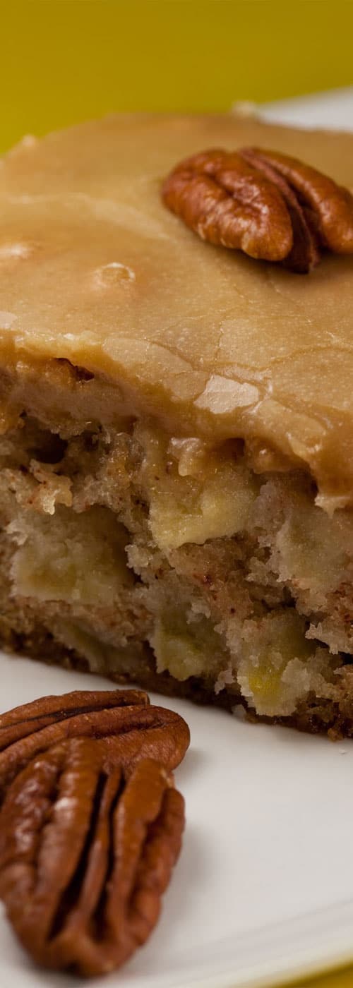 This apple cake is my favorite cake. I have tried many apple cakes over the years and this is a winner!! So moist and dense, with a caramel taste. #cakerecipe #apples #dessertrecipe