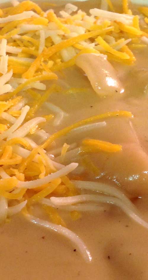 Recipe for Outbacks Creamy Onion Soup