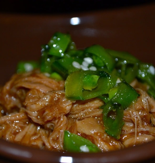 chinese_pulled_pork